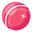 Cricket betting icon